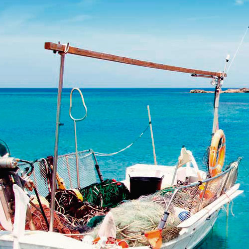 Actividades en el mar